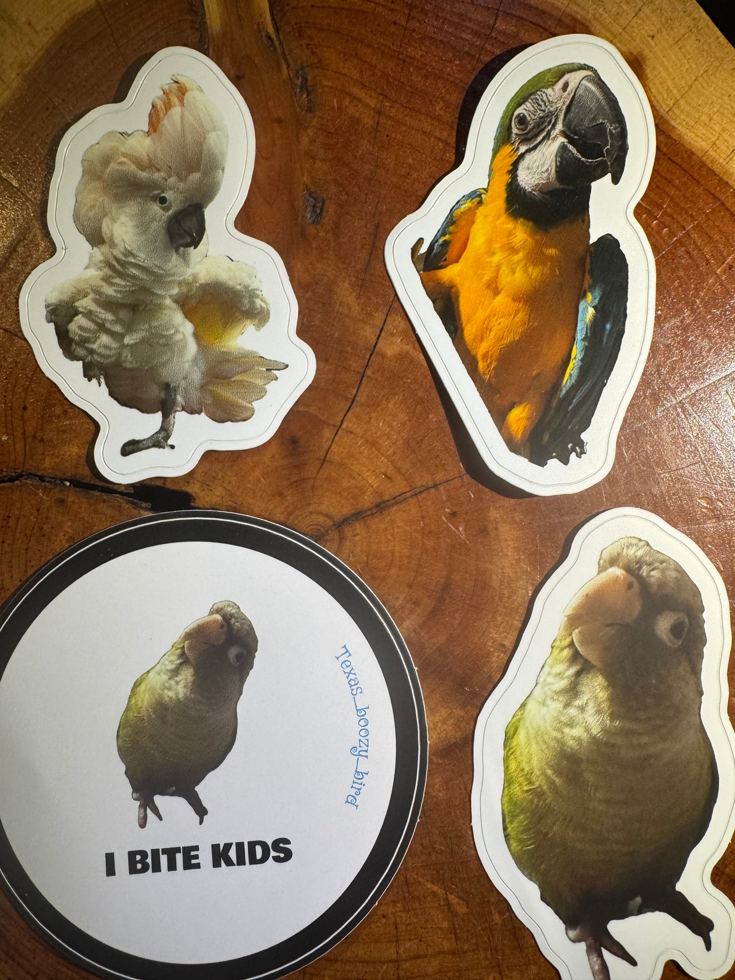 Bird stickers