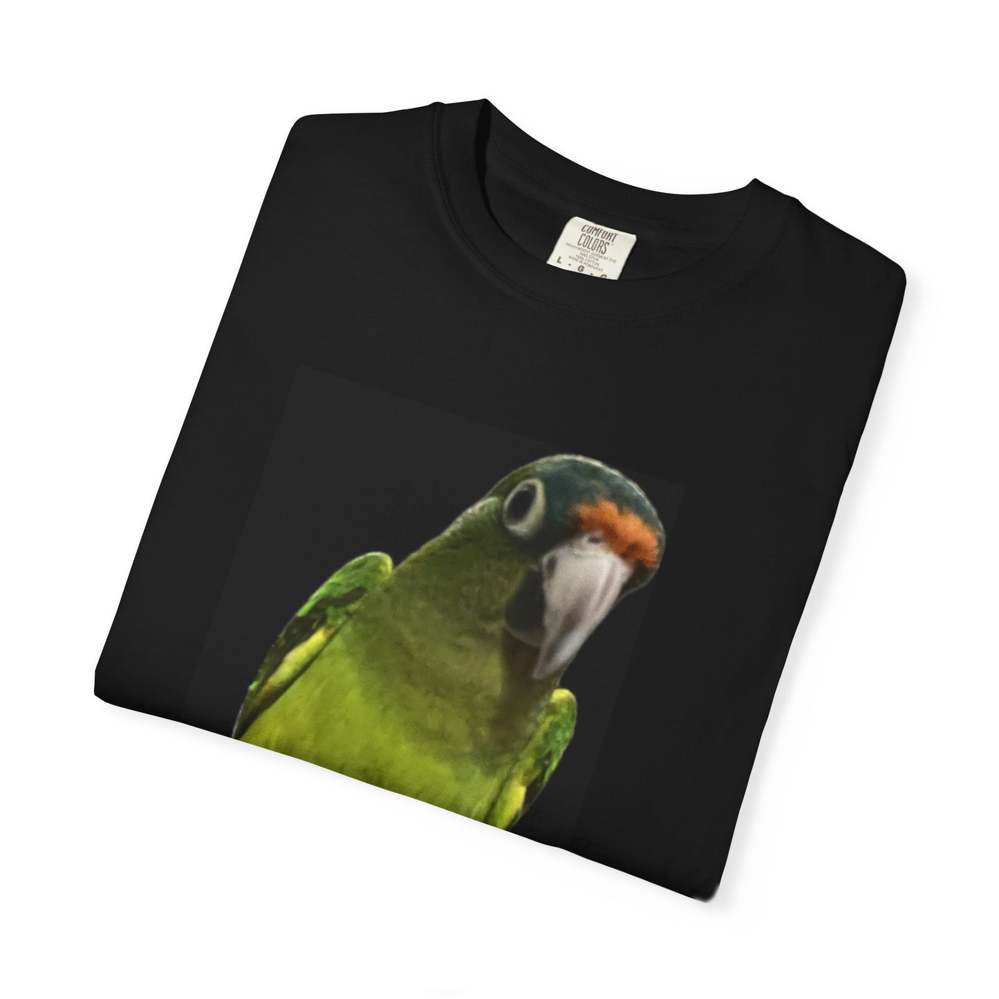 Meet Mogwi the Halfmoon conure, he enjoys foraging and BITING KIDS, T-Shirt, I Bite Kids Tee, Unisex Humor Shirt, Gift for Bird Lovers, Quirky Casual Top, Unique Birthday Present