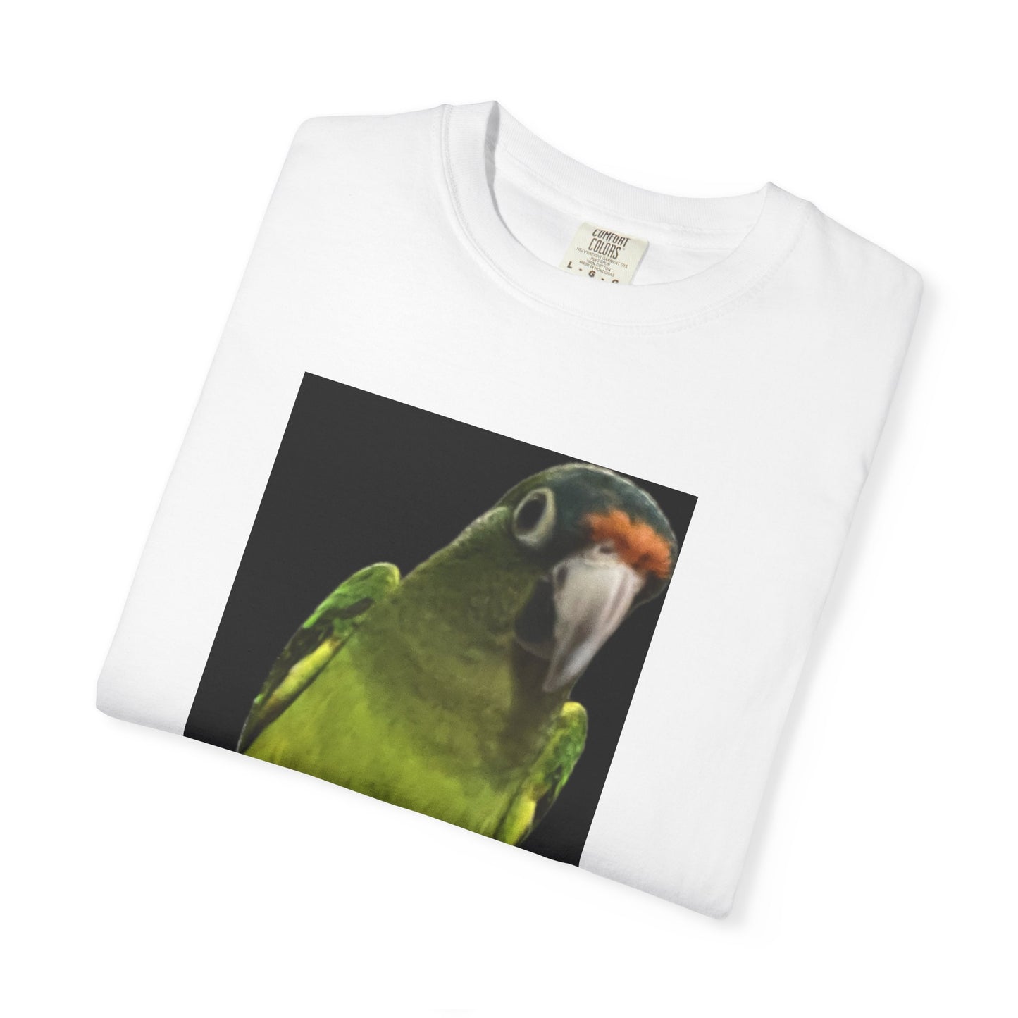 Meet Mogwi the Halfmoon conure, he enjoys foraging and BITING KIDS, T-Shirt, I Bite Kids Tee, Unisex Humor Shirt, Gift for Bird Lovers, Quirky Casual Top, Unique Birthday Present