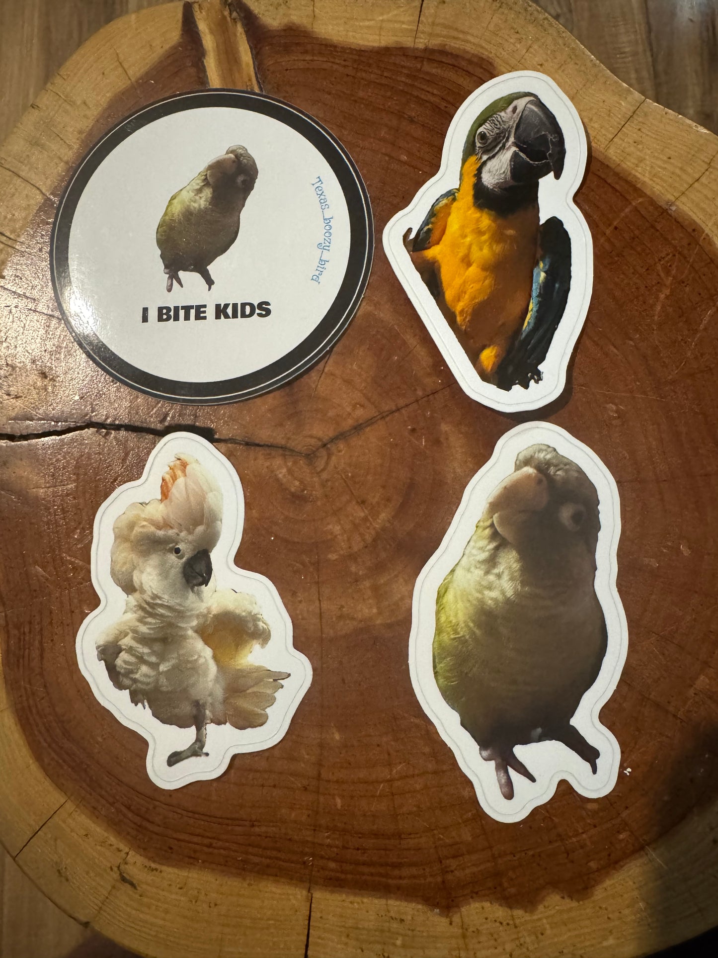 Bird stickers
