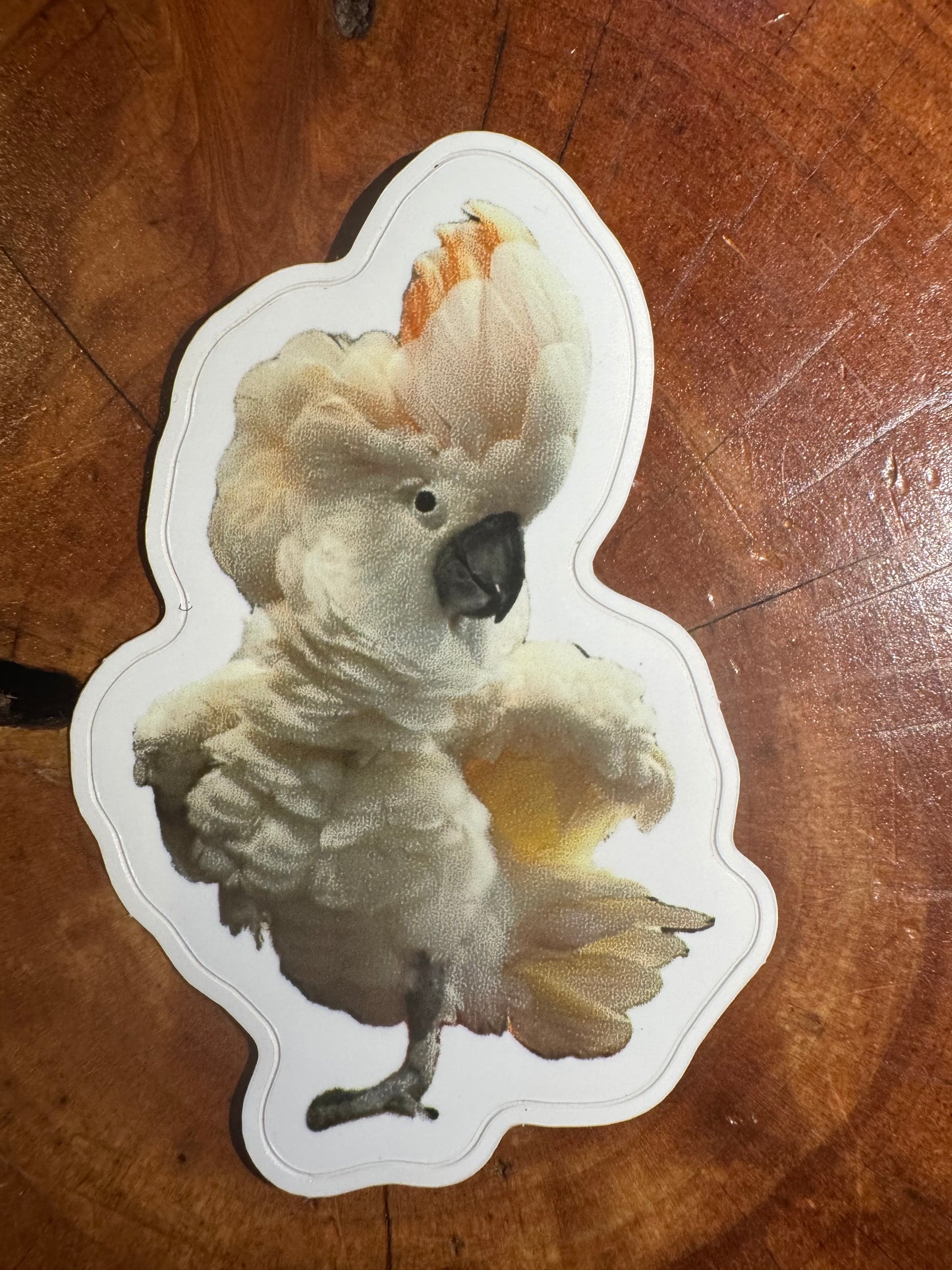 Bird stickers