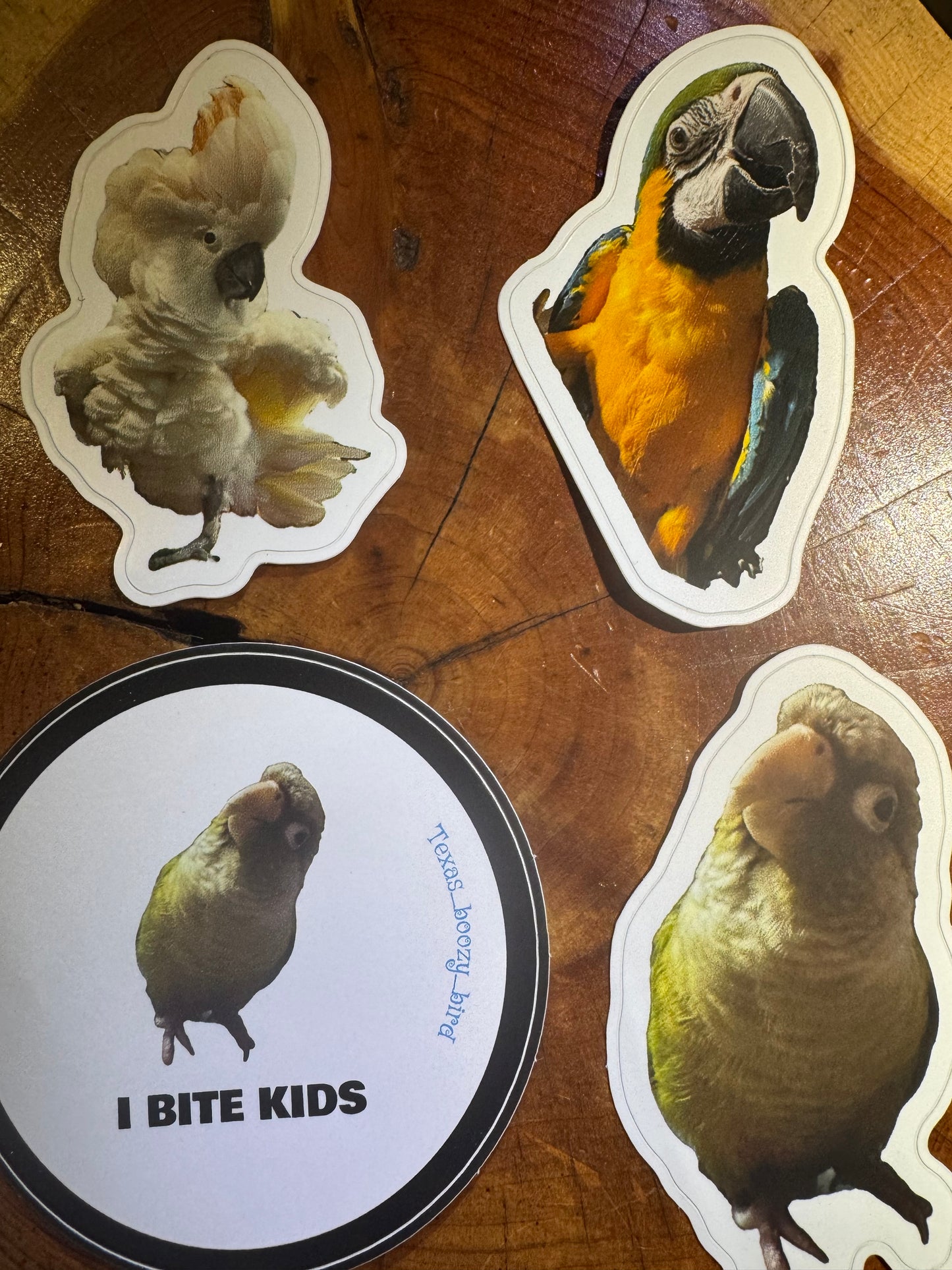 Bird stickers