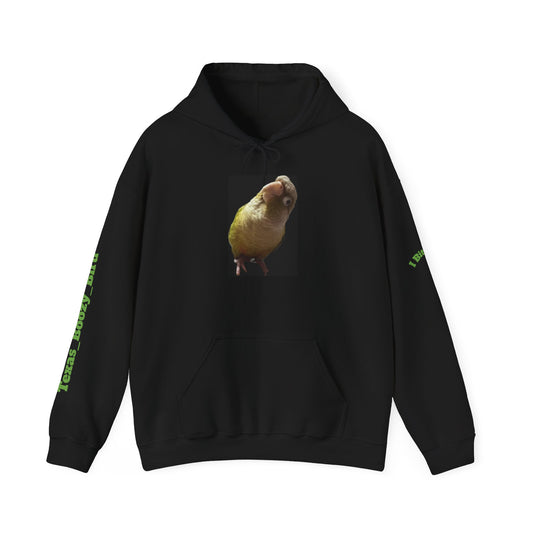 Funny Unisex Hooded Sweatshirt - "Texas Boozy Bird" Design