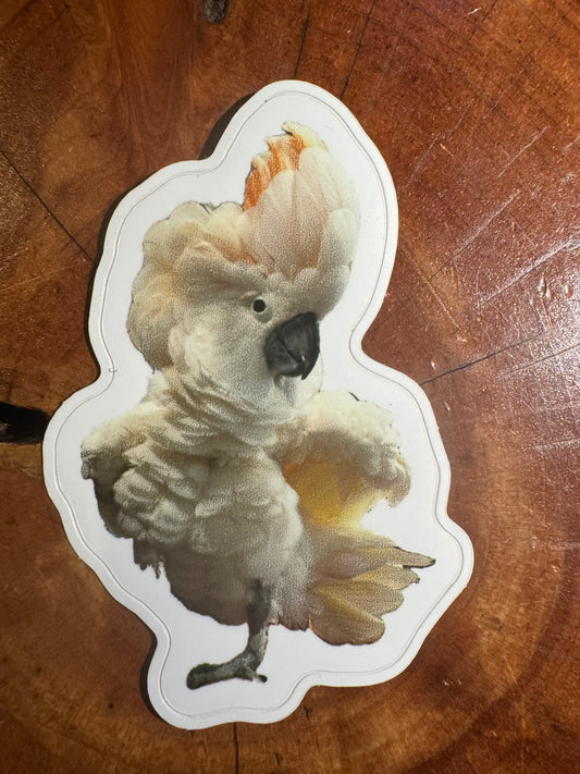 Bird stickers