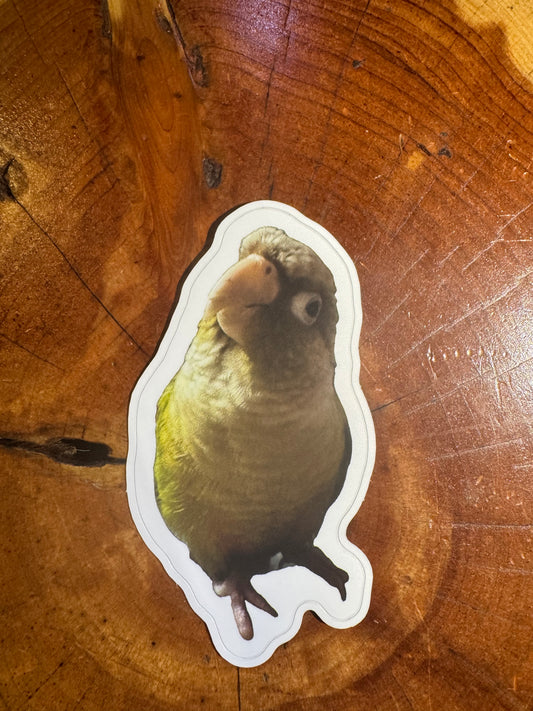 Bird stickers