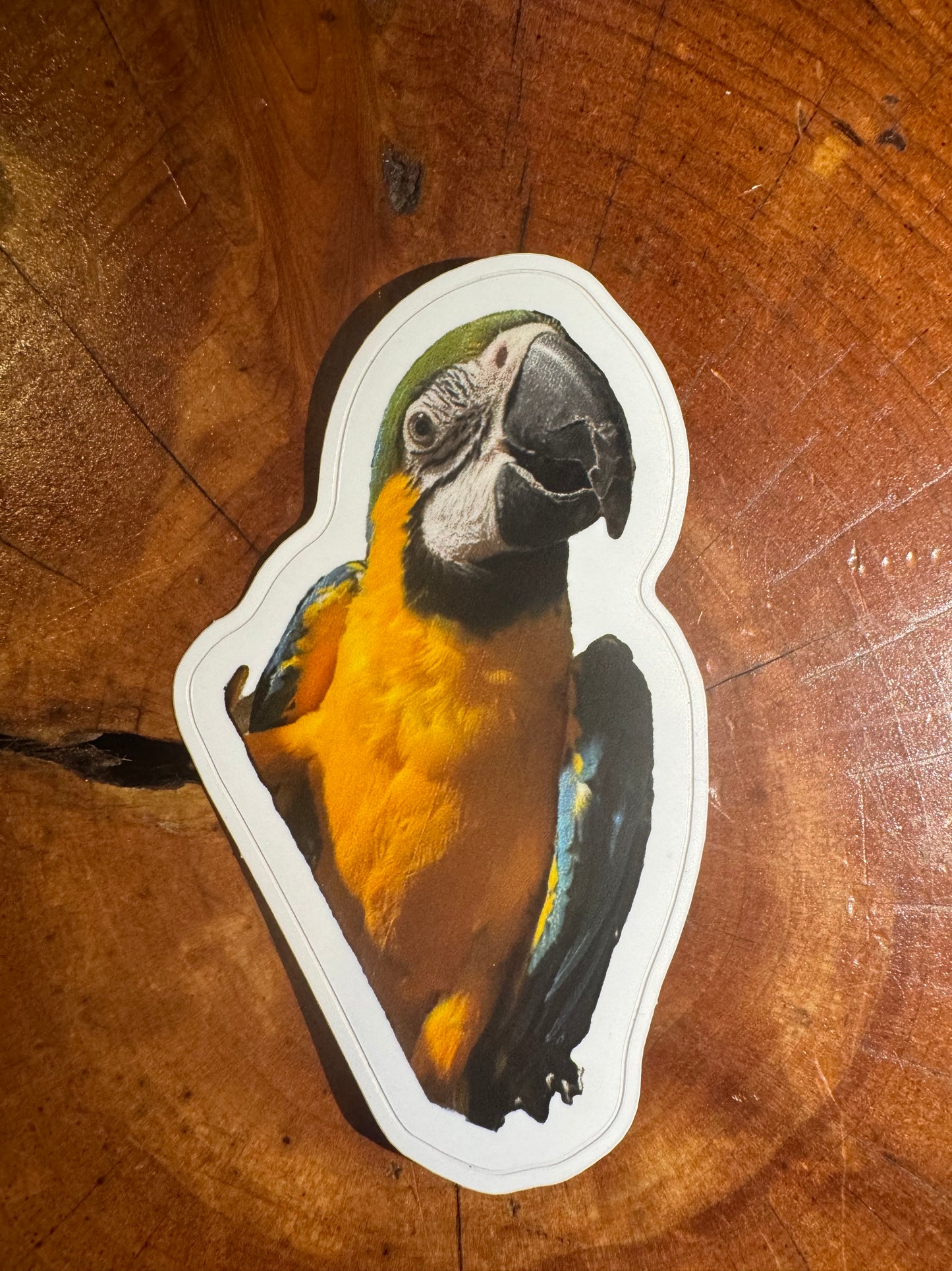 Bird stickers